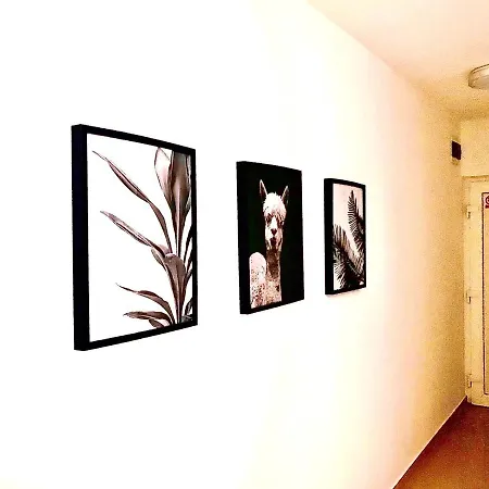 Apartamento 497 D E